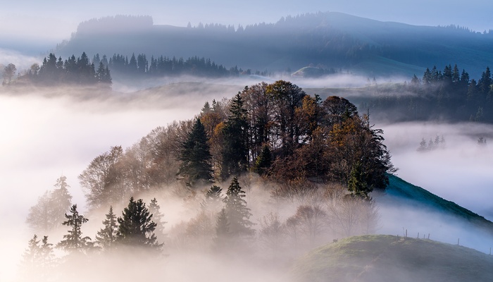 Business Sustainability Today berichtet über die Vögeli AG