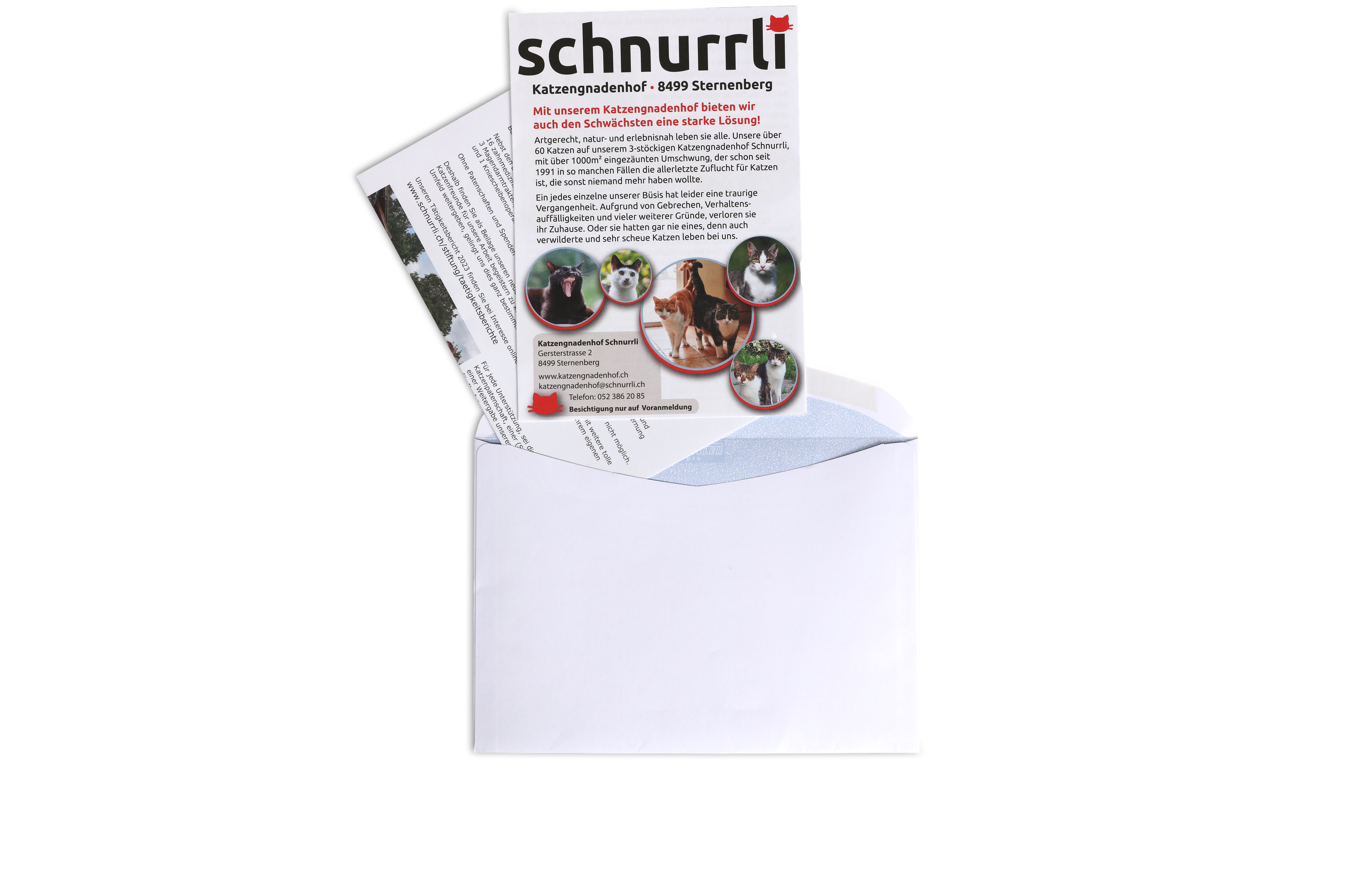 Postkartenmailings