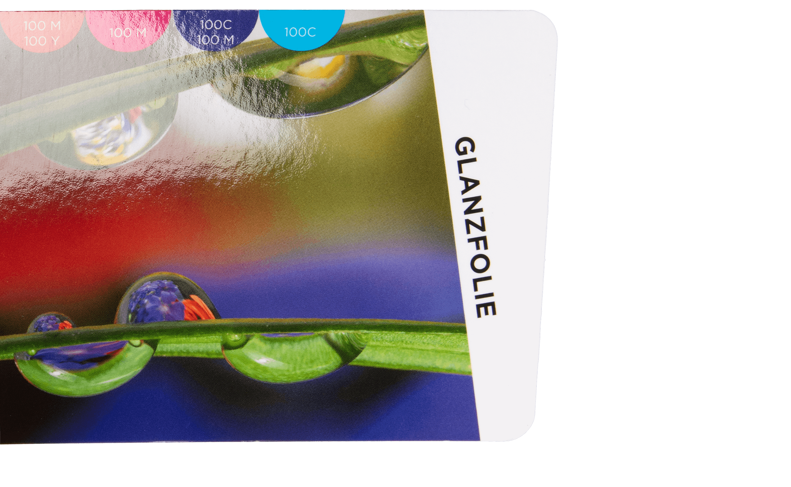 Laminage Inspiration Day